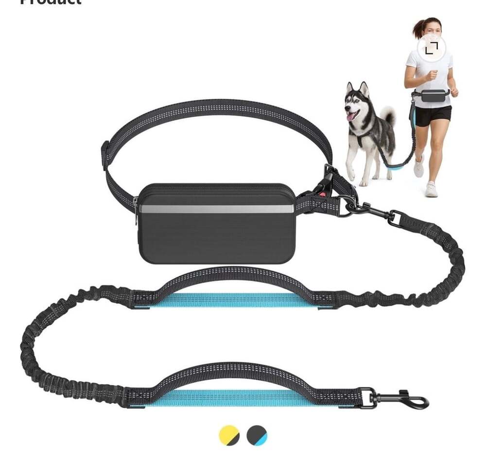 Hands-Free Dog Leash with Waist Pouch and Dual Bungee Handles